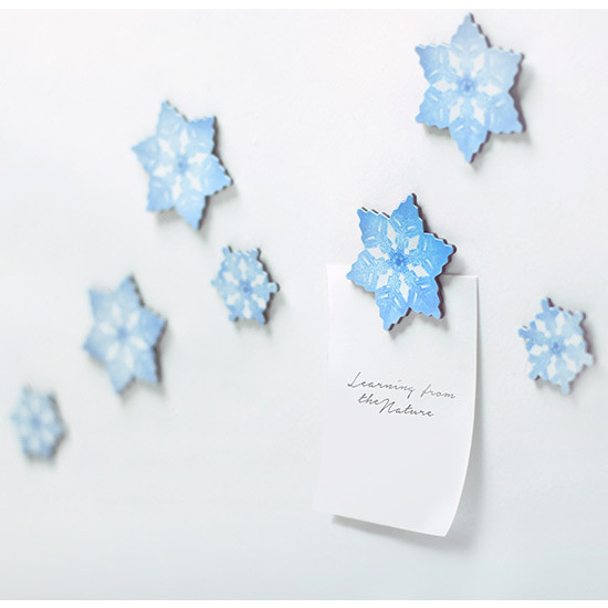 Appree Snow flower magnet set