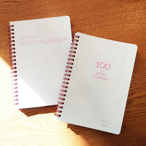 N.IVY Pink 100 days spiral study planner
