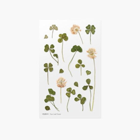 Appree Four leaf clover press flower deco sticker