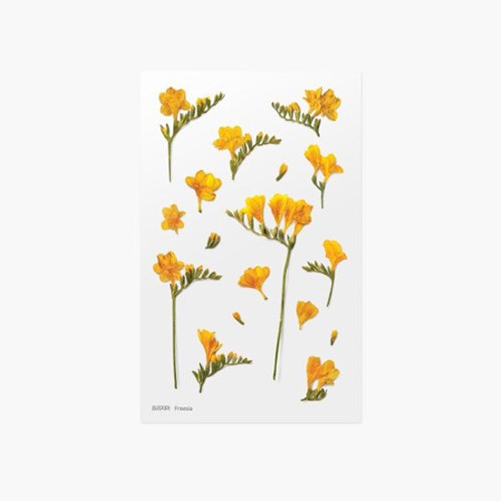 Appree Freesia press flower deco sticker
