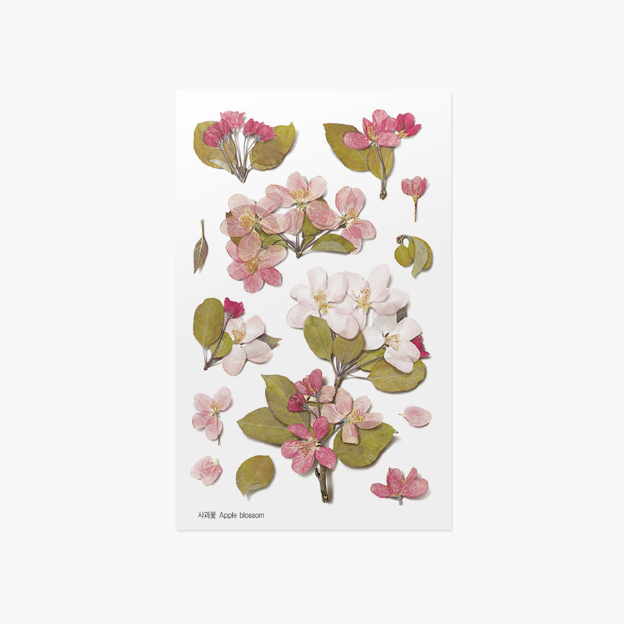 Appree Apple Blossom Pressed Flower Sticker Fallindesign