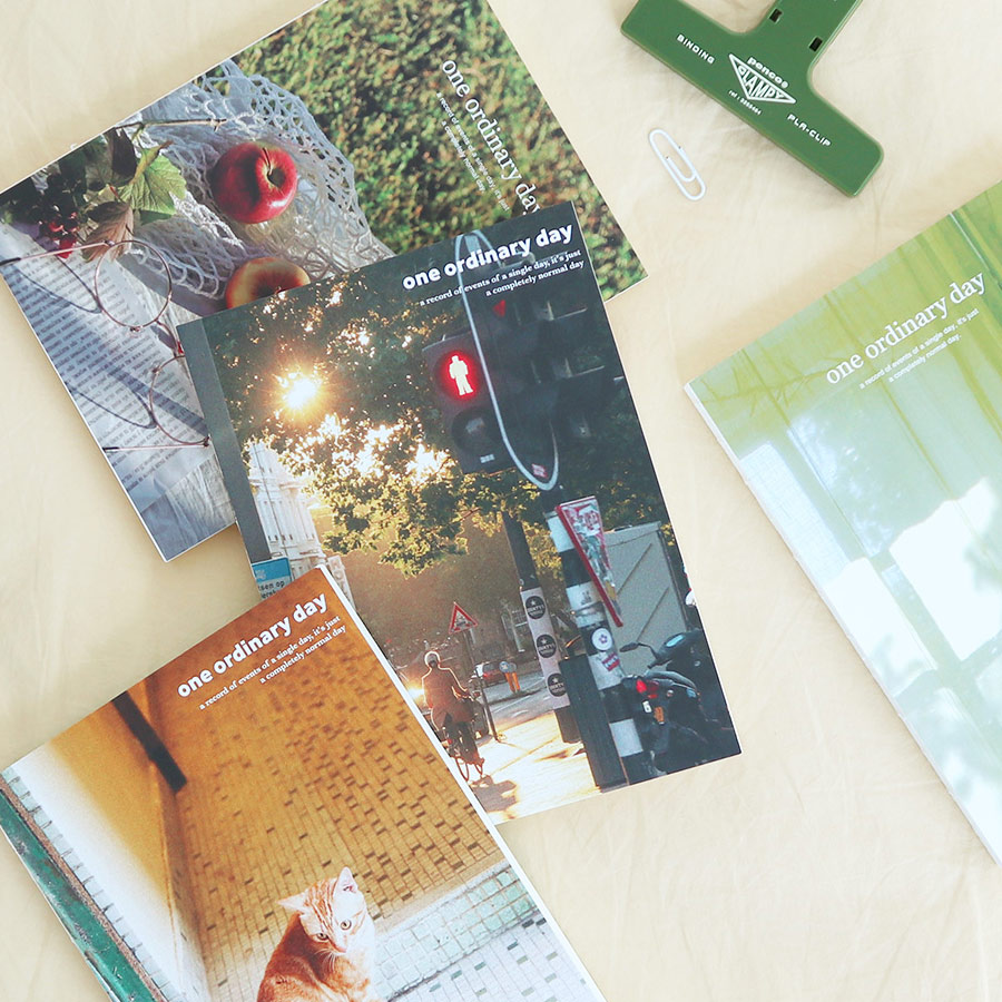 O-check One Ordinary Day Dateless Monthly Diary Planner