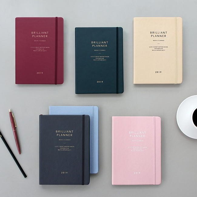 2019 Brilliant simple dated weekly planner agenda