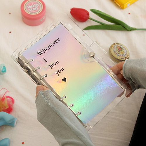 2019 Oh 6-ring clear PVC cover dated weekly diary agenda