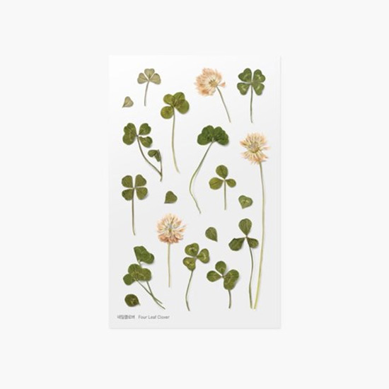 Wallpaper Appree Four Leaf Clover Press Flower Deco Sticker For Android Free