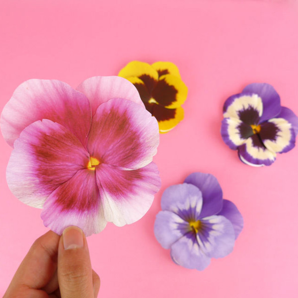 ABJECTION Pansy flower card and envelope set