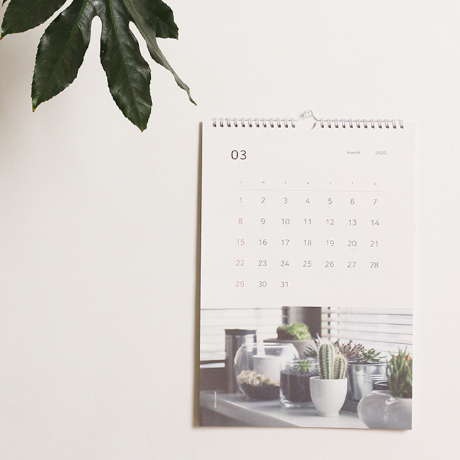 Dash and Dot 2020 Slow life monthly wall calendar