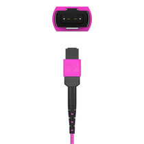 25m (82ft) MPO Female to MPO Female OM4 Multimode Fiber Trunk Cable, 12 Fibers, Type B Polarity, LSZH, Purple