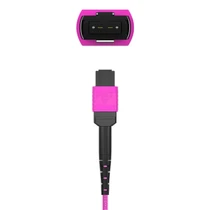 40m OM4 MPO to MPO Fiber Optic Trunk Cable, 12 Fiber Multimode 50/125µm, Female to Female, Type B, UPC, Magenta