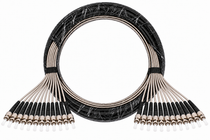 30M Outdoor Armored 12 Strand Single Mode Fiber Cable ST-ST UPC 9/125 OS2 Black 98FT
