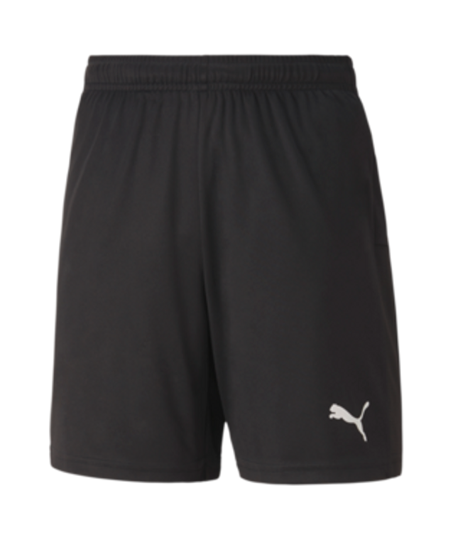 Puma Teamgoal 23 Knit Shorts Youth Version 03/Black