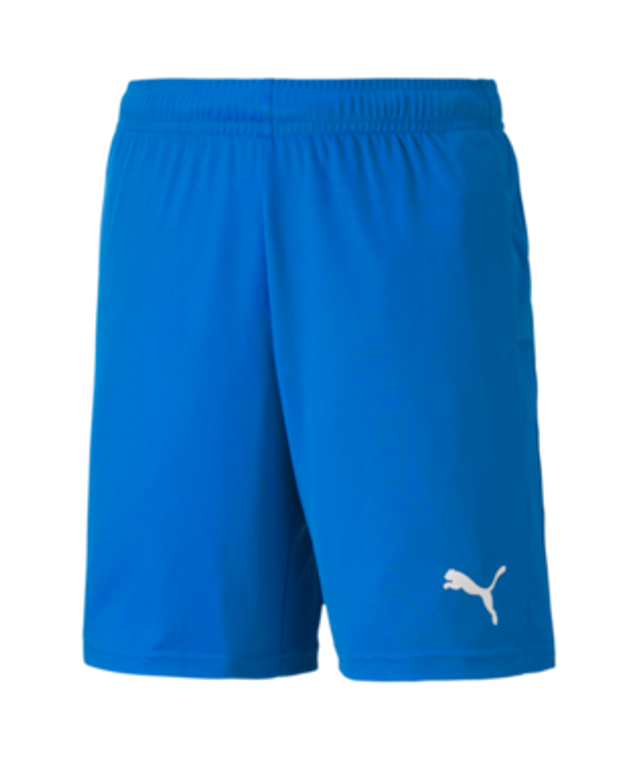 Puma Teamgoal 23 Knit Shorts Youth Version 02/Electric Blue