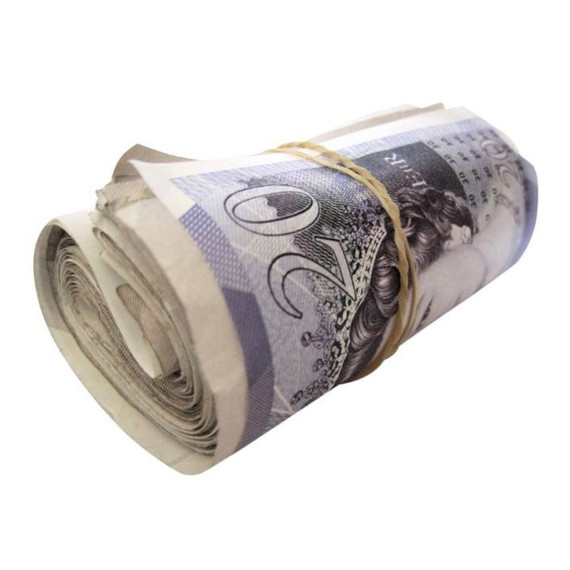 Deposit for Goods ������������������100.00