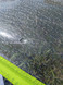 Used Ezzy Zeta 6.4 metre Windsurf Sail