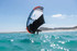 RRD Evolution Wind Wing Y30