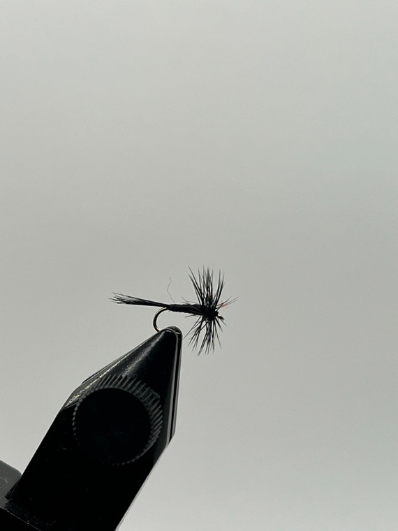 One dozen (12) - Midge - Black