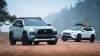 Sherpa The Snowmass Roof Rack (2019-2024 Rav4)