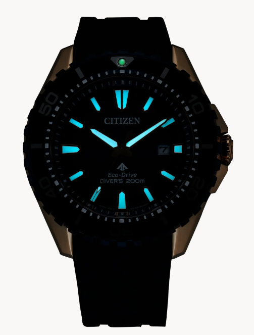 Citizen Promaster Dive Watch-BN0196-01L - Manhattan Jewelers