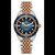 RADO Captain Cook Automatic R32224203