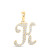  10K Yellow Gold Real Diamond Custom Letter  Pendant 