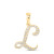  10K Yellow Gold Real Diamond Custom Letter  Pendant 