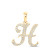  10K Yellow Gold Real Diamond Custom Letter  Pendant 