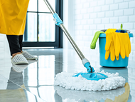 Cleaning And Disinfecting Floors In A Veterinary Clinic