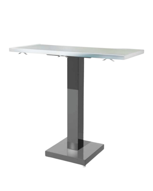 Infinium Classic Slim Exam Stainless Veterinary Table