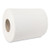 Morcon Tissue MorSoft Center-Pull Roll Towels