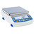 Radwag WL-213-0091 PS 3500.R1.M Precision Balance