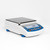Radwag WL-213-0091 PS 3500.R1.M Precision Balance