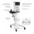 Infinium Mindray Veterinary Veta 5 Anesthesia Machine