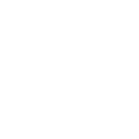 Tiktok Logo