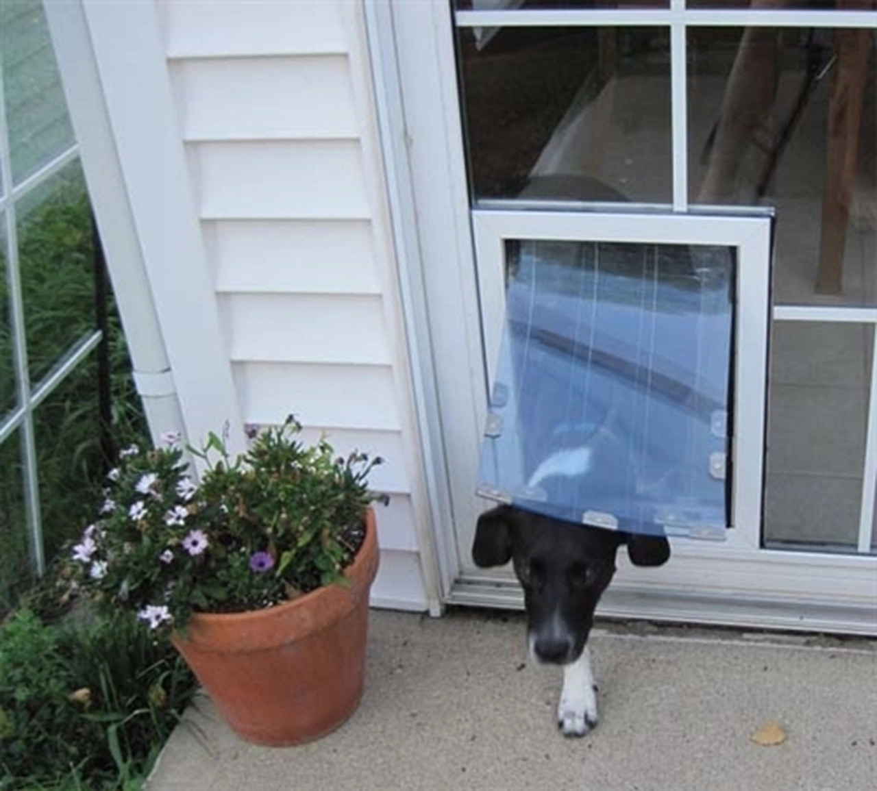 buitenspiegel Wie Samenpersen In-the-Glass MaxSeal Pet Door | Through Glass Dog Door | Pet Door for Glass  Doors | Sliding Glass Pet Door