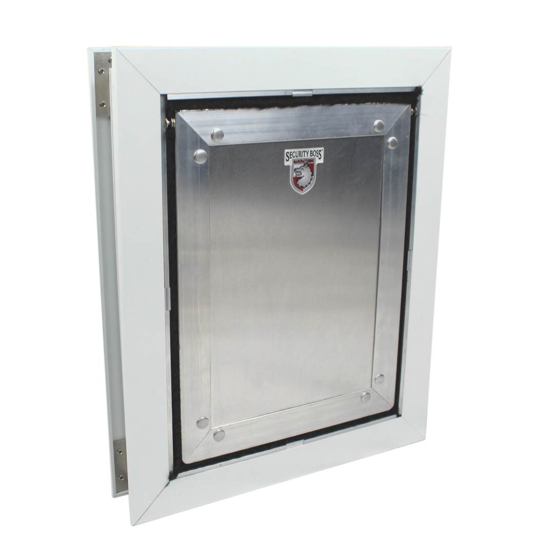 czech wirehaired pointer