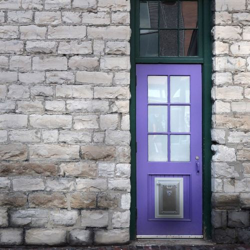What Makes a Pet Door Truly Secure? Key Features Every Homeowner Should Know