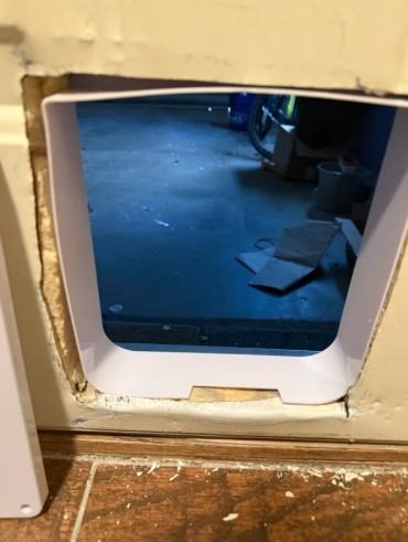 10 Signs You've Outgrown Your Current Pet Door