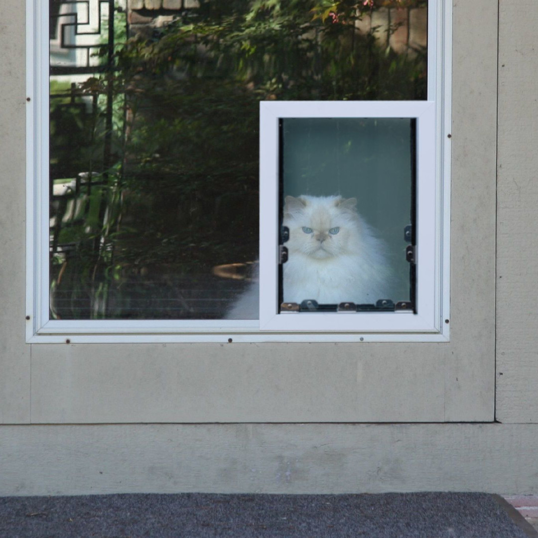 DIY or  Pre-Installed Pet Doors for French Doors