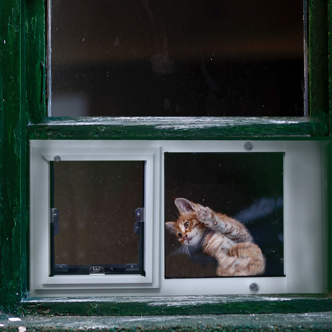 We Make Cat Friendly Pet Doors