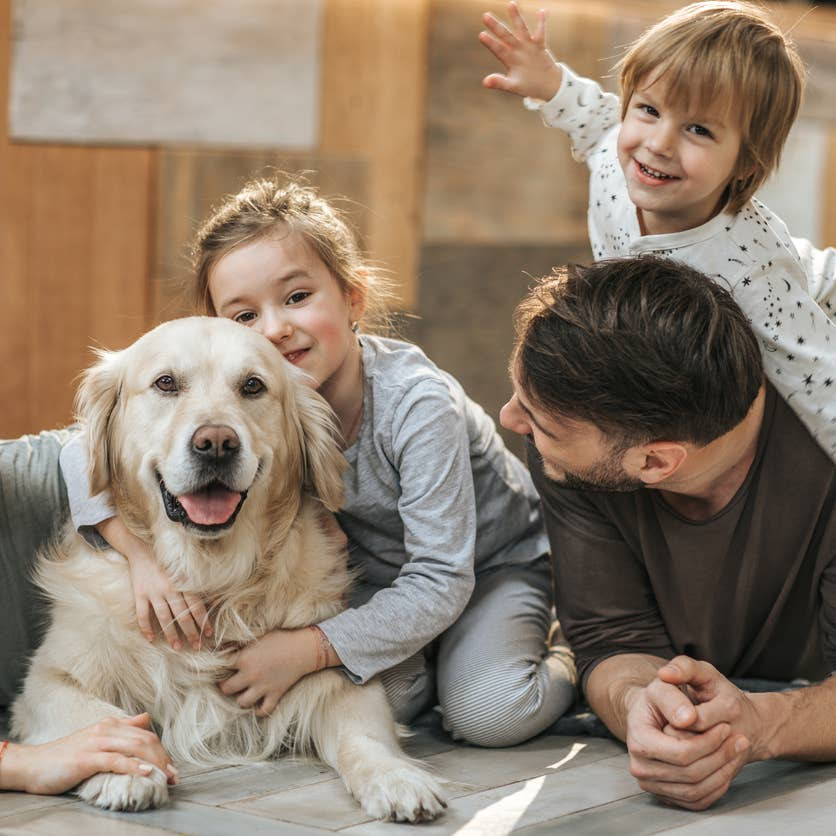 The Psychology of Convenience: Why Pet Owners Love Having a Pet Door