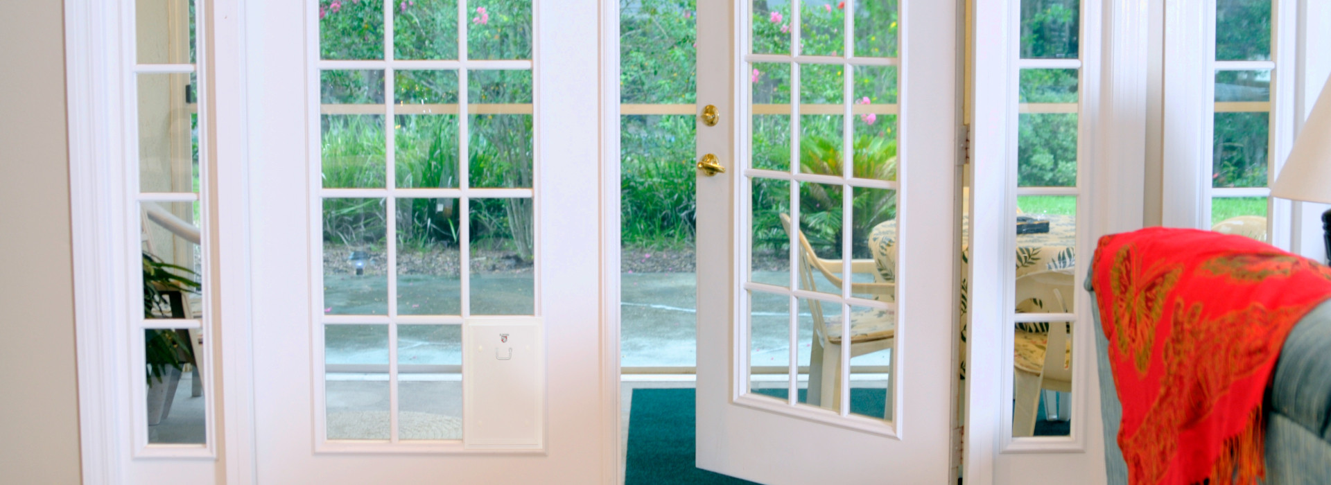 Five Signs It’s Time to Replace Your Old Pet Door