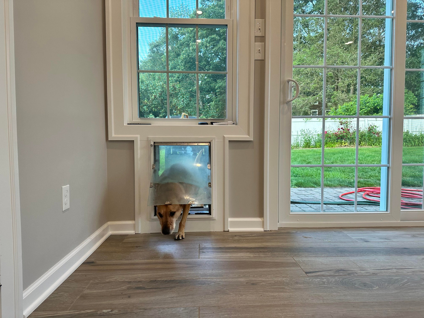 What to Expect After Installing a High-Quality Pet Door