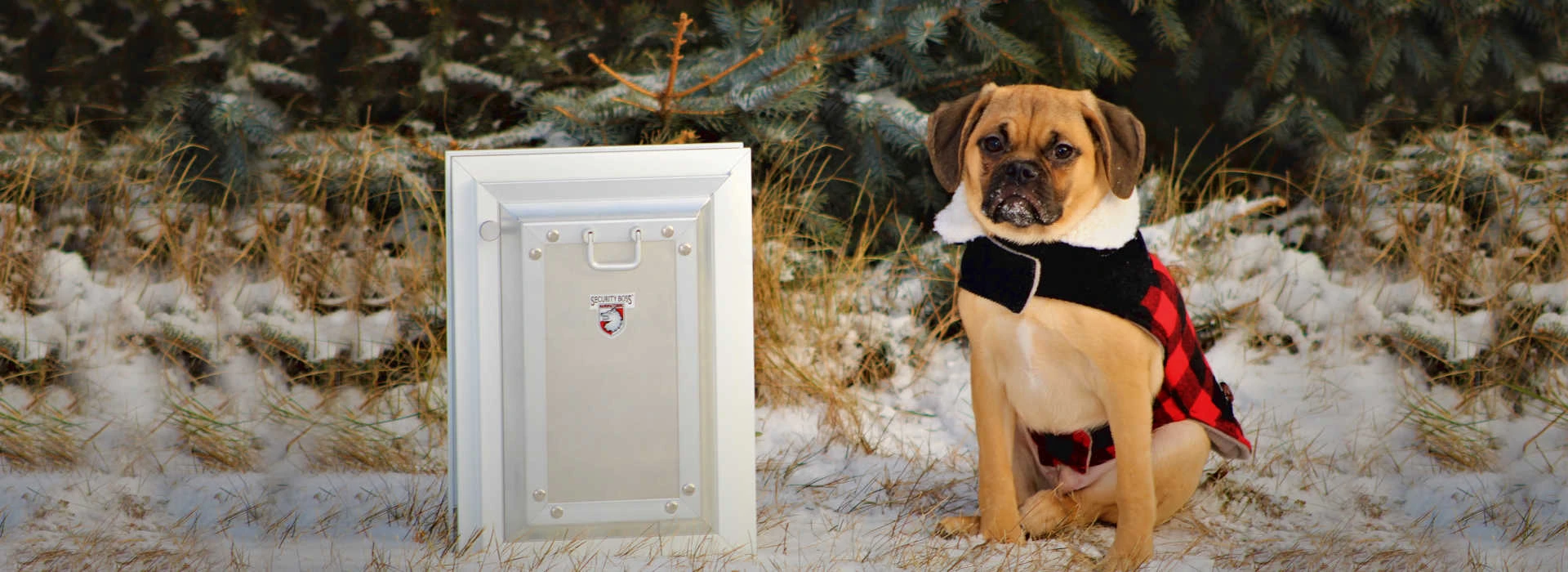 Top 7 Features to Look for in a High-Quality Pet Door