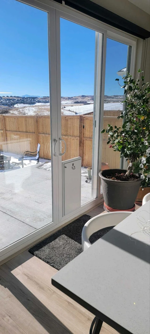 How to Choose Between a Sliding Glass Pet Door Insert and a Built-In Pet Door