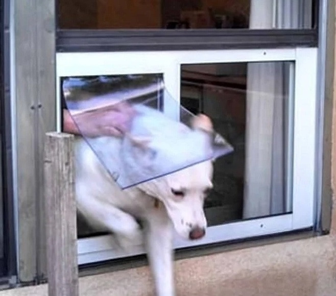 Why Aluminum Frames Outperform Plastic in High-Quality Pet Doors