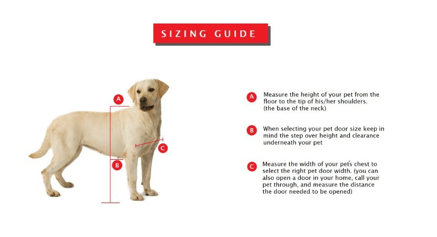 Choosing the Right Size Pet Door for Your Dog: A Simple Guide for Homeowners