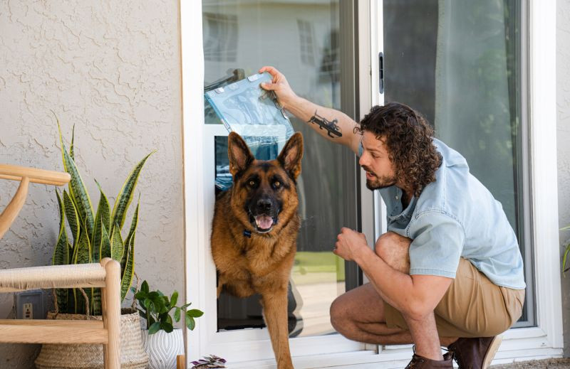 How to Train Your Dog to Use a Pet Door (Step-by-Step Guide)