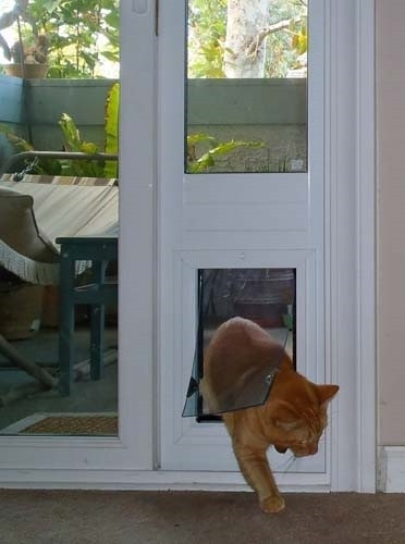 The SB Standard Patio Pet Door Insert is our best selling Pet Door for