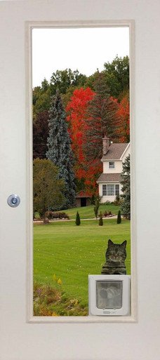 sureflap programming