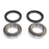 EPI Wheel Bearing & Seal Kit - 295265